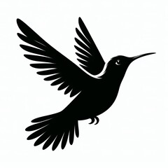 Fototapeta premium Hummingbird Silhouette
