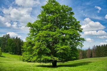 Landschaft bei Rotterode in Thüringen