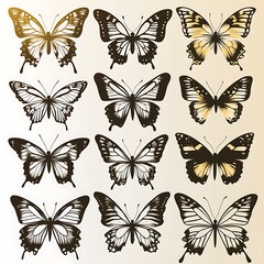 Beautiful collection of elegant butterfly illustrations featuring various wing patterns and designs in a high resolution photo