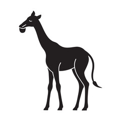 Giraffe Calf Drinking Water Silhouette Vector