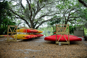 Stacked colorful kayaks on a wooden rack under a large tree near a calm river, outdoor recreation...