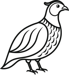 quail outline icon on transparent background