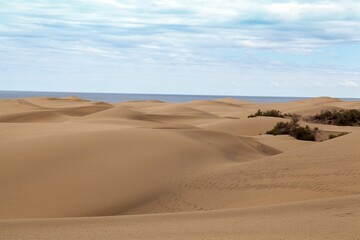 The sand dunes of Maspalomas at Gran Canaria