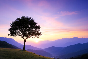 Obraz premium Silhouette of a lone tree against a vibrant sunrise in the mountains at dawn