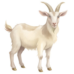 Fototapeta premium goat on a white background