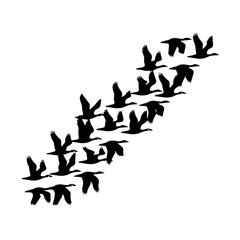 Silhouettes of birds flying in a dynamic V-formation against a white background, creating a visually striking pattern that conveys movement, unity, and direction.
