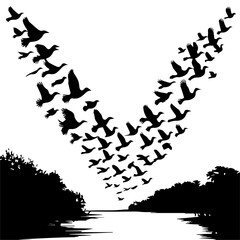 Silhouettes of birds flying in a dynamic V-formation against a white background, creating a visually striking pattern that conveys movement, unity, and direction.