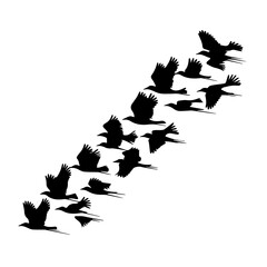 Silhouettes of birds flying in a dynamic V-formation against a white background, creating a visually striking pattern that conveys movement, unity, and direction.