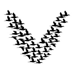 Silhouettes of birds flying in a dynamic V-formation against a white background, creating a visually striking pattern that conveys movement, unity, and direction.