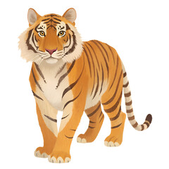 Obraz premium tiger on white background