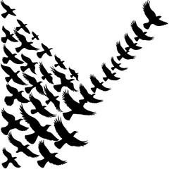Silhouettes of birds flying in a dynamic V-formation against a white background, creating a visually striking pattern that conveys movement, unity, and direction.
