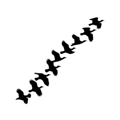 Silhouettes of birds flying in a dynamic V-formation against a white background, creating a visually striking pattern that conveys movement, unity, and direction.