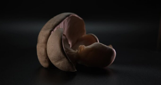 Mushrooms