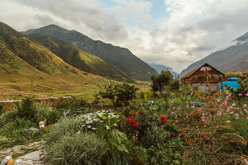 a vegetable garden on the background of mountains.