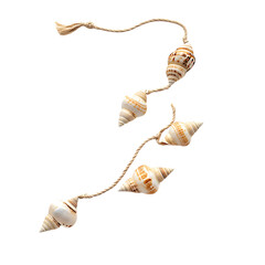 Elegant Bohemian Shell Necklace Featuring a Series Isolated on Transparent Background