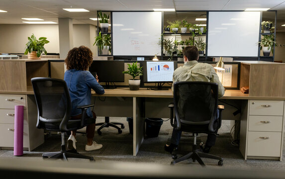 Working Diverse coworkers analyzing data on dual monitors at open-plan office, with potted plants
