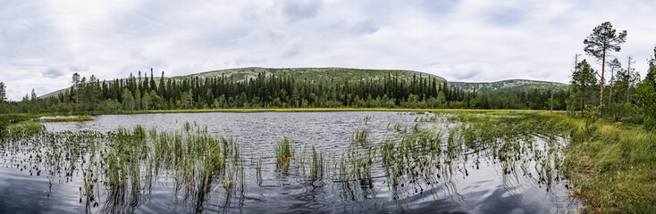Experience the panoramic view of the breathtaking nature at Fulufjället National Park in Dalarna, Sweden, a tranquil lake with the lush greenery boreal forest and majestic mountain cliffs around it