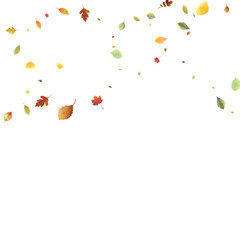 Leaves Falling Autumn Foliage Chaotic Leaf Flying