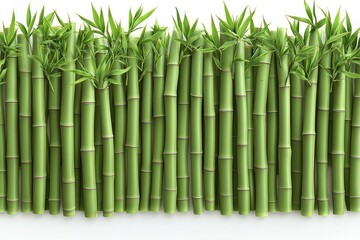 Fototapeta premium Green bamboo stalks with leaves on white