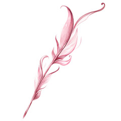 Artistic Arrow with Expressive Curves in Dusty Rose Isolated on Transparent Background
