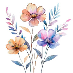 Fototapeta premium Vintage Watercolor Botanical Flower Isolated on white