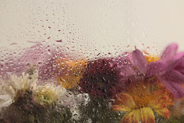 Smoke selected Soft focus aster flower bouquet through glass with wet water drops. Abstract natural...
