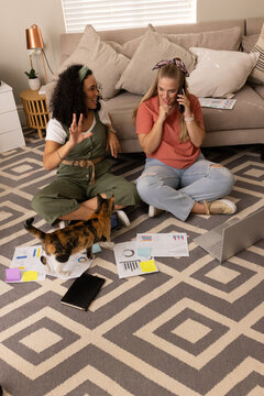 Collaborating Diverse female friends working on charts on living room rug, with open laptop and cat