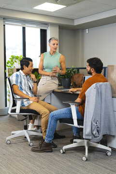 Collaborating diverse coworkers discussing project in modern office, with laptops and potted plants