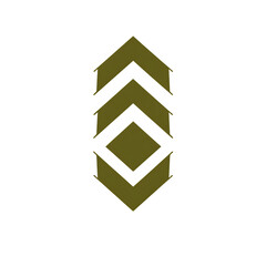 Bold Arrow with Geometric Symmetry in Olive Green Isolated on Transparent Background