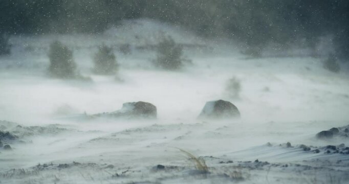 Snow drifting in a cold winter storm across an open snowy landscape