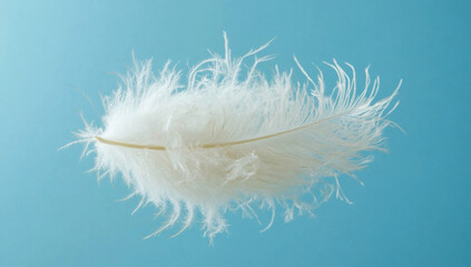 Obraz premium Delicate White Feather Against a Light Blue Background