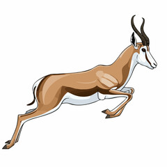 Springbok Antelope in Leap. Vector image