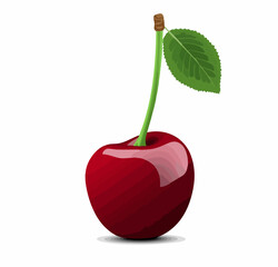 Cherry with Stem and LeafVector image