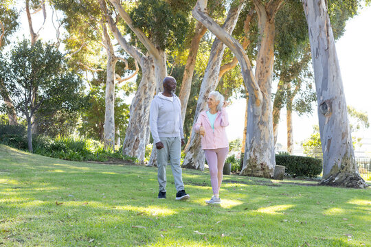 Walking diverse senior couple through sunlit park under eucalyptus trees, with dappled sunlight