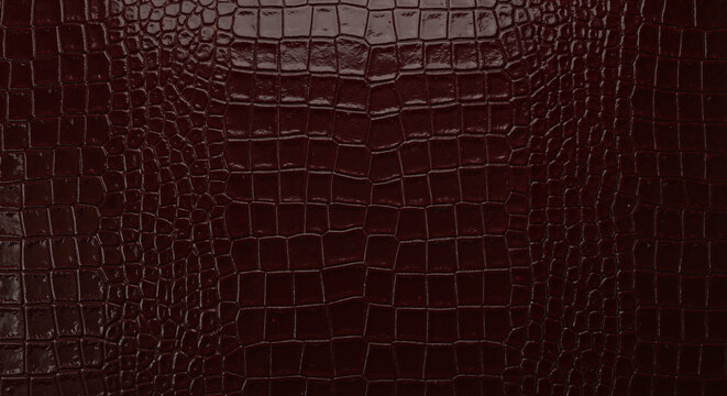 Crocodile leather texture in dark burgundy color  