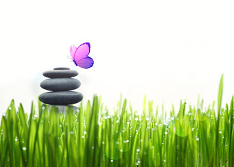 Stones balance, grass and butterfly. Zen and spa concept.