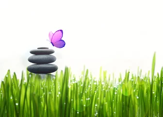 Stones balance, grass and butterfly. Zen and spa concept.