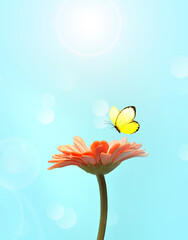 Flower and butterfly with blur shiny background. Nature background.