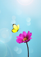 Flower and butterfly with blur shiny background. Nature background.