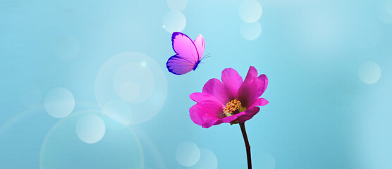 Flower and butterfly with blur shiny background. Nature background.