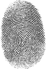 Detailed black and white fingerprint. Vector illustration