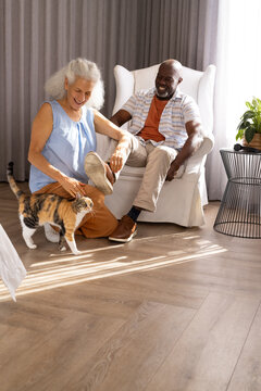 Laughing diverse senior couple petting calico cat in living room with green potted plant