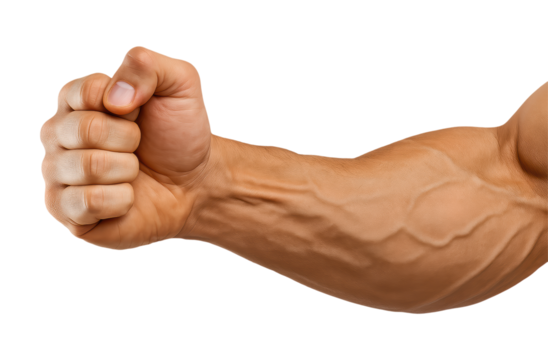 Close-Up of a Strong Muscular Arm with Veins Prominently Visible and Fist Clenched, Showcasing Physical Strength and Power, Isolated on Transparent and White Background