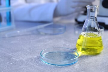 Petri dish and flask with samples on table. Scientist working in laboratory, selective focus