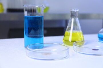 Petri dishes and flasks with samples on table in laboratory