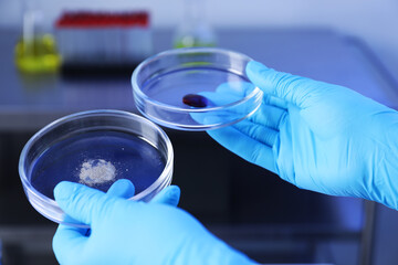 Scientist holding Petri dishes in laboratory, closeup