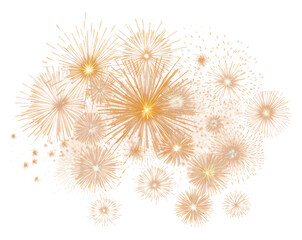 Plakat PNG Gold a firework fireworks colorful night.