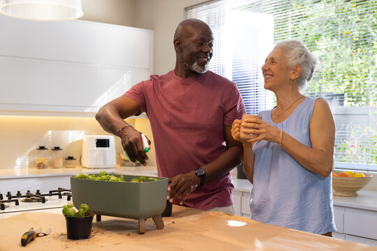 Tending diverse senior couple planting seedlings on kitchen countertop, with rectangular planter