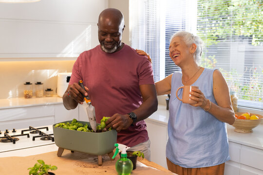 Diverse couple tending seedlings in planter box at kitchen island, holding coffee mug