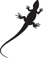 Abronia (Arboreal Alligator Lizard)